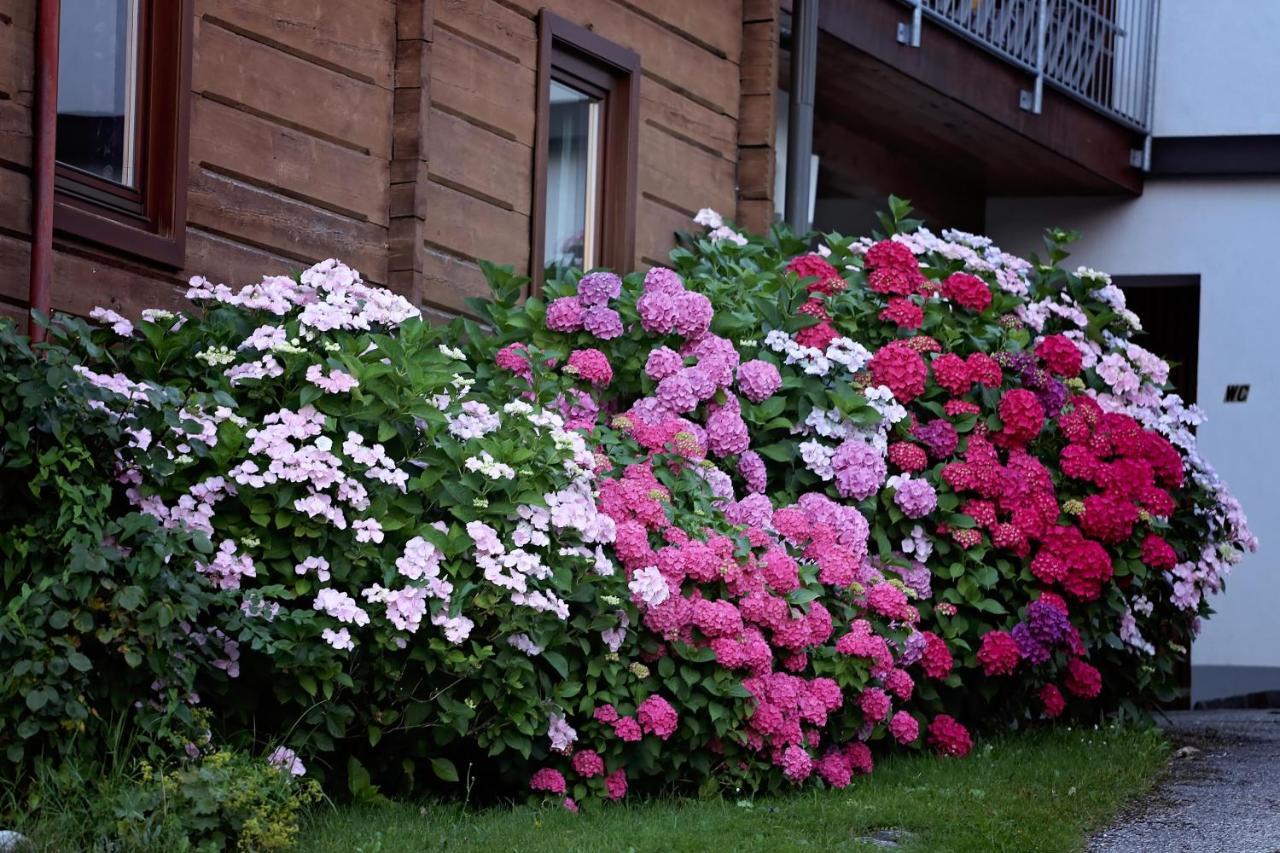 Landhaus Danita Bodensdorf Exterior foto